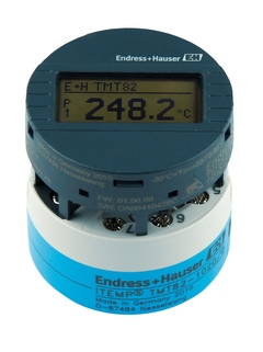 Endress Hauser TMT82